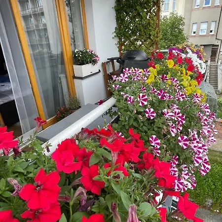 Apartman Dafi *